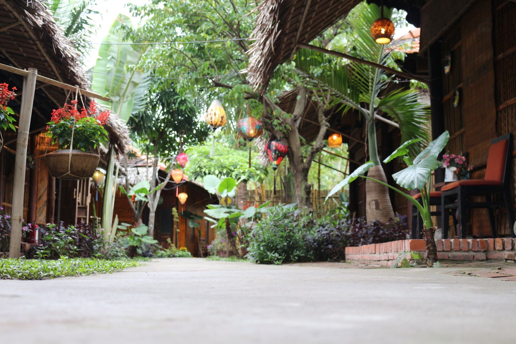 Hotel Under The Coconut Tree Hoi An Exteriér fotografie