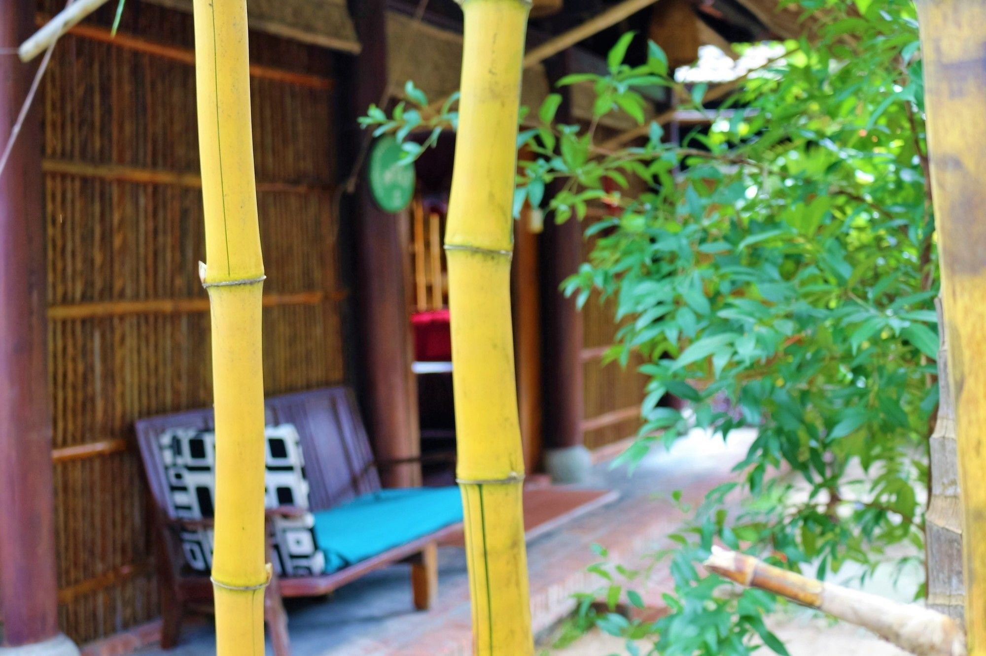 Hotel Under The Coconut Tree Hoi An Exteriér fotografie